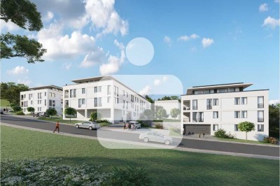 PAN Living - Moderne Architektur für zeitloses Wohnen