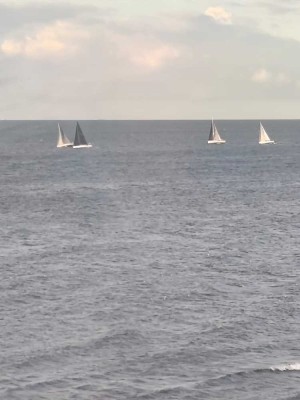 Wir senken den Preis !