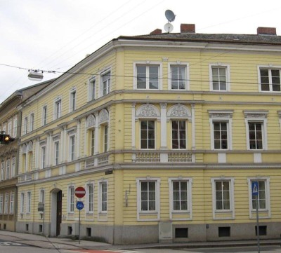 Charmante Innenstadtwohnung - Saniert