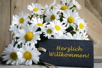 SINGLE-Erdgeschoss-Balkon-Wohnung  für Best Ager