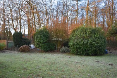 Schwülper-Rothemühle: Einfamilienhaus mit Kamin und Wintergarten!