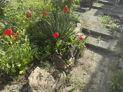 * Kapitalanlage * Sanierungsbedürftiges Mehrfamilienhaus * in Niedernhausen-Niederseelbach Festpreis