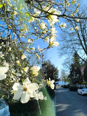 Gelegenheit, nur 70 Meter vom See entfernt zu wohnen(möblierte Wohnung).