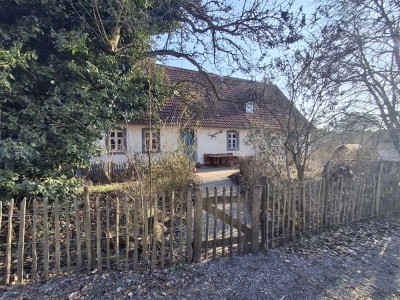 Ansprechende 1,5-Zimmer-Dachgeschosswohnung in Schönbrunn im Steigerwald