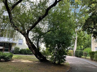 Bodenständiger Erstbezug nah Viktoria-Luise-Platz und KaDeWe, 3 Zimmer+Balkon im 2.OG zum Hofgarten