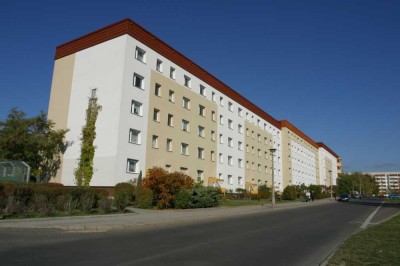 3 Raum-Wohnung mit Balkon