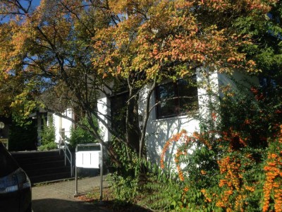 1-Zimmer Studentenwohnung mit moderner Küche, Bad/Dusche + exklusiver Gartenanteil. Provisionsfrei!