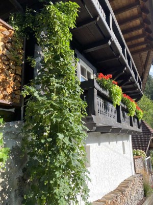 Traumhaftes Schwarzwaldhaus in Alleinlage