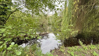 Fürth-Praterweiher ! Gepflegte helle 3 Zi.-Whg. 71 qm, Balkon mit Blick ins Grüne, Einbauküche