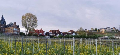 Seltene Gelegenheit: Schmuckstück mit Schlossblick in Johannisberg