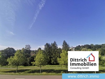 Lichtdurchflutete 3-Zi.-Whg. mit Balkon, Einbauküche in Pfhm-Brötzingen
