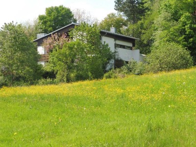 ***Grünes Paradies: Ruhe und Erholung***