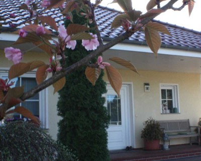 Ihr neues Zuhause! Wunderschönes Einfamilienhaus auf einer Etage mit großem Garten!
