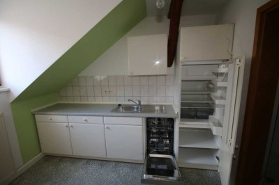 1 Raumwohnung mit Einbauküche und Spülmaschine