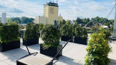 Wunderschöne 3-Zimmerwohnung mit Dachterrasse, Grieskirchen, Zentrum