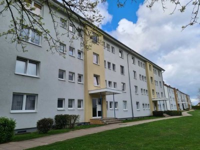 Schicke 3 Zimmer Mietwohnung in ruhiger Wohnlage - Schöningen * renoviert