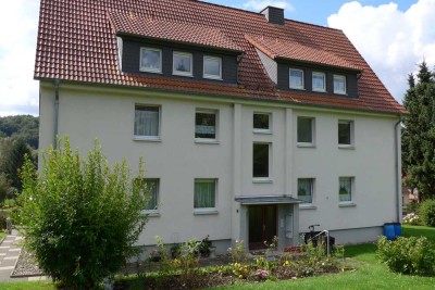 renovierte 3 ZKB mit neuem Bad *ab sofort*