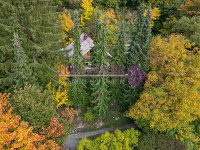 Wohnen am Schneckenberg – wo Geschichten leben und Privatsphäre selbstverständlich ist.