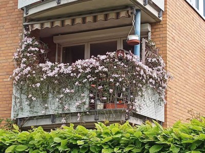 Ruhige Lage mit guter Verkehrsanbindung in Hamburg-Mitte