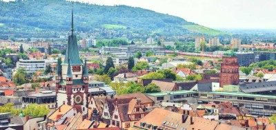 Stilvolle, gepflegte 2-Zimmer-Wohnung mit Balkon und EBK in Singen (Hohentwiel)