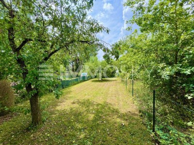 Reihenhaus mit Charme und großem Garten in historischer Lage