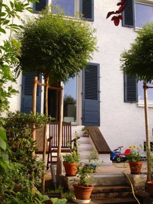 **RARITÄT***Renoviertes RMH von privat ohne Provision