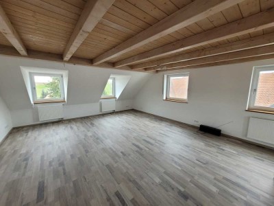 Sanierte 3 Zimmerwohnung mit einer modernen Einbauküche