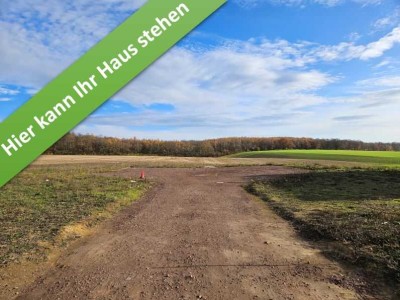 Mit Grundstück, das clevere Raumwunder 100 in Harbke.