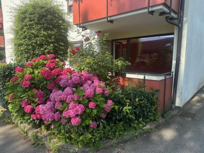 3 Zimmer EG-Wohnung 
in Lindau - Oberreitnau