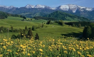 Neubauwohnungen mit schöner Aussicht