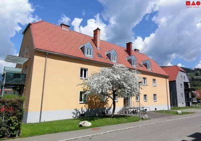 Bezaubernde Singlewohnung im Grünen - hell und freundlich - neu saniert!