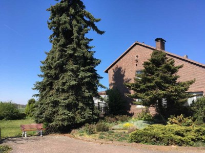 Gemütliche Dachwohnung mit Waldblick