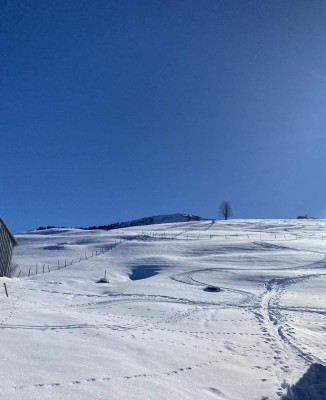 Ferienwohnung zwischen Arlberg und Bodensee