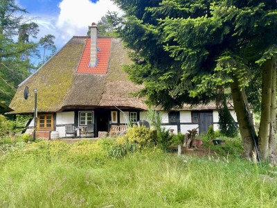 Idyllisches Reetdachhaus, Amt Neuhaus, Elbtalaue