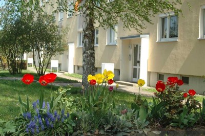 Ruhig und doch zentral - gemütliche 3-Raum-Wohnung Pirna Sonnenstein