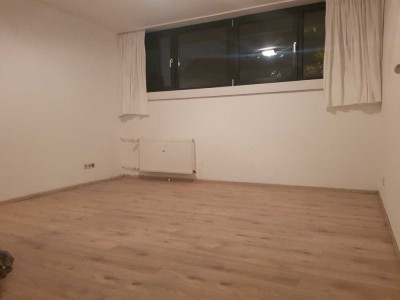 wunderschönes, helles, kernsaniertes Appartement in Keller mit Küchenzeile