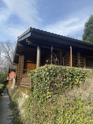 Sonniges Ferienhaus am Listersee im Sauerland