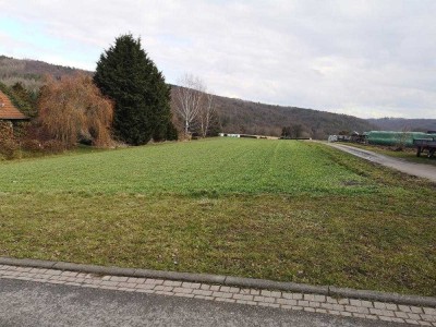 Steigende Mieten & Nebenkosten? Nein, danke! Ihr Bungalow mit hohem Komfort in Weißenborn