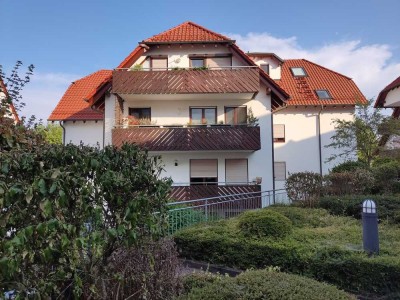 Modernisierte 2-Zimmer Wohnung mit Balkon; Einbauküche u. Tiefgarage in Aspach