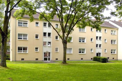 Nur noch Möbel rein in Duisburg Wanheimerort
