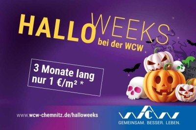 2 Raumwohnung im Dachgeschoss - 3 Monate nur 1€/m² Grundmiete zahlen