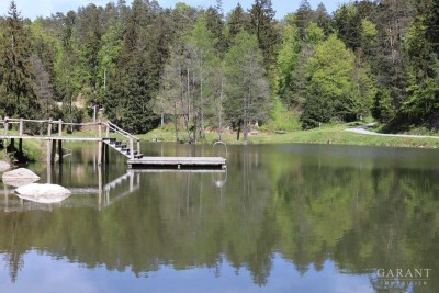 Sommerfeeling am See