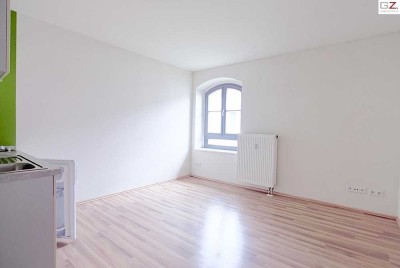 Gemütliches Apartment an der Elbe