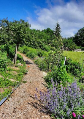 Wunderschöner Anteil eines ehemaligen Bauernhauses mit ca. 12.000 qm Grund