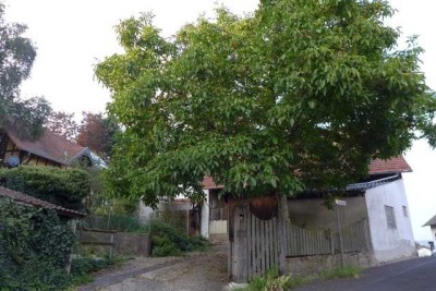 Hofreite in ruhiger Ortsrandlage mit Fernblick