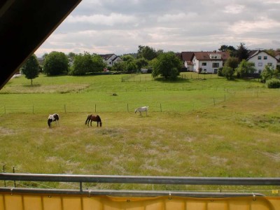 Schöne DG-Wohnung mit drei Zimmern in Montabaur-Horressen