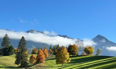Das Eigenheim ihrer Träume