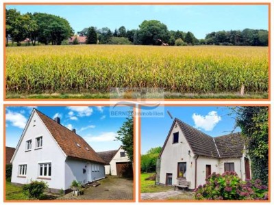 Weitblick genießen – Natur vor der Haustür...