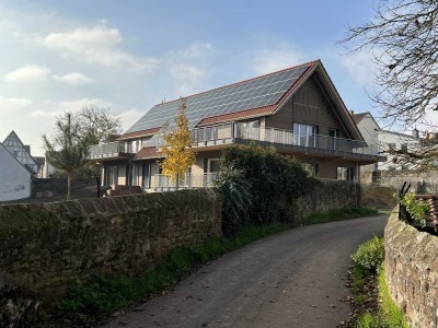 Wohnen im Park 4-Raum-EG-Wohnung mit luxuriöser Innenausstattung mit Balkon in Eisenberg