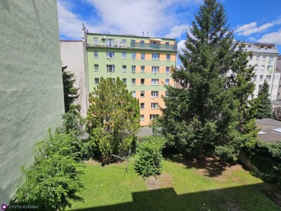 Blick ins Grüne- absolute Ruhelage!